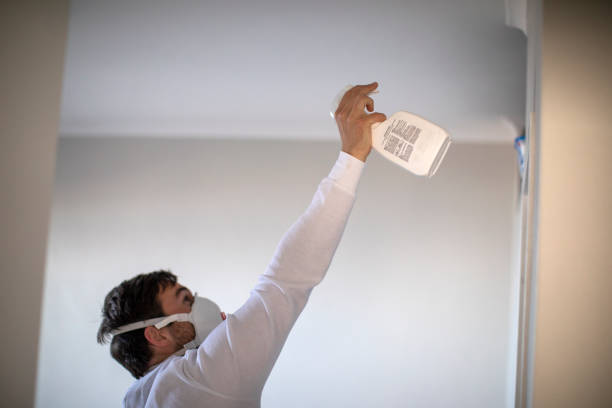 Best Certified Mold Removal  in Greenvle, IL