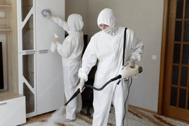 Crawl Space Mold Removal in Greenville, IL