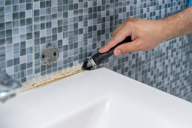 Professional Mold Removal in Greenville, IL